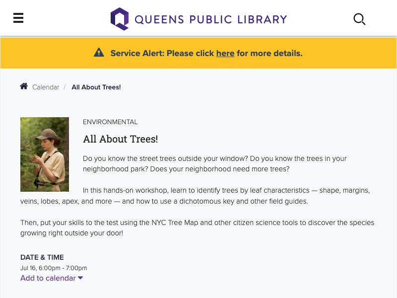 All About Trees!