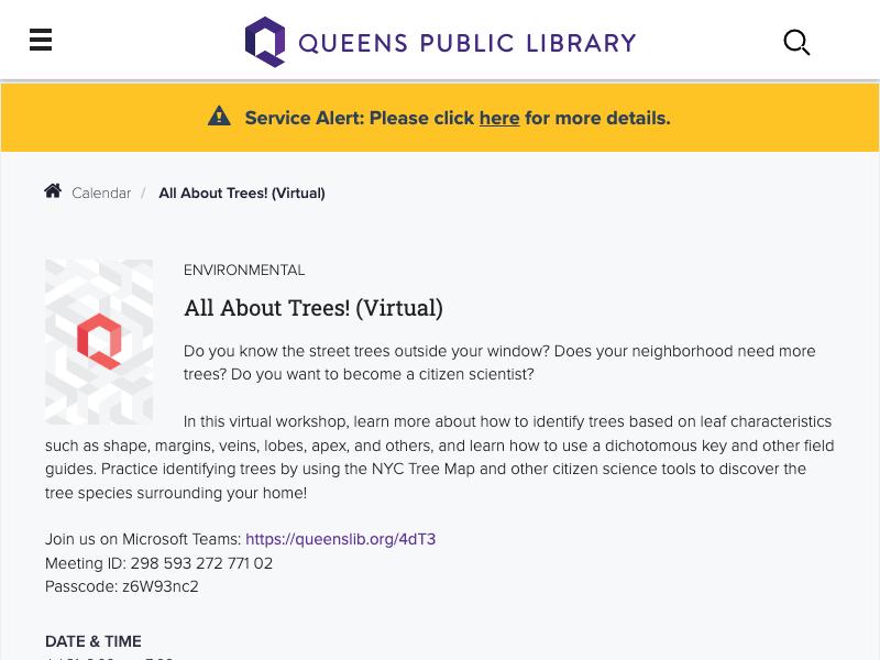 All About Trees! (Virtual)